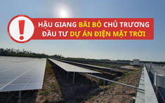 Hậu Giang bất ngờ bãi bỏ chủ trương đầu tư dự án điện mặt trời của Licogi 13, Halcom... trên địa bàn huyện Phụng Hiệp