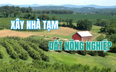 Có được xây dựng nhà tạm trên đất nông nghiệp?