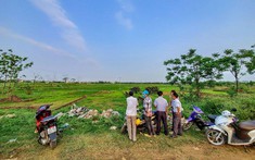 Giá Đất Nền Năm 2023 Giảm Sâu Nhất Bao Nhiêu?