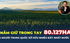 Đây mới là người nước ngoài có nhiều đất nhất tại Mỹ