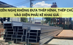 UBND tỉnh Bình Định kiến nghị không đưa thép hình, thép chữ, thép ống… vào diện phải kê khai giá