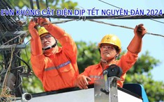 EVN cam kết không cắt điện trong các ngày Tết Nguyên đán Giáp Thìn 2024