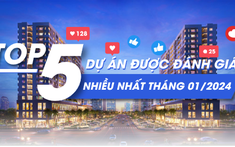 Top 5 dự án được đánh giá nhiều nhất tháng 1/2024