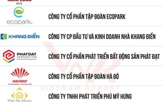 Nam Long giữ vững vị thế top đầu tại bảng xếp hạng 10 chủ đầu tư năm 2023 - 2024