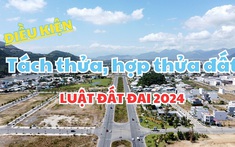 Luật Đất đai 2024: Điều kiện, nguyên tắc tách thửa, hợp thửa đất?