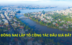 Đồng Nai lập Tổ công tác đấu giá đất