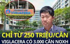 Bán 3.000 căn nhà ở xã hội với giá 8-10 triệu đồng/m2, Viglacera đang kinh doanh ra sao?