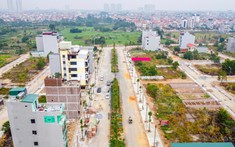 Đất Nền Ven Hà Nội Nổi Sóng Đầu Năm 2024