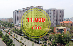 Đồng Nai: 11.000 căn nhà ở xã hội chờ duyệt chủ trương đầu tư