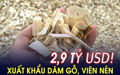 Thứ phế phẩm của các xưởng gỗ trước bỏ đi, nay đem bán sang Hàn Quốc, Nhật Bản thu về gần 3 tỷ USD