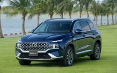 Doanh số SUV hạng D tháng 2/2024: Hyundai Santa Fe và Toyota Fortuner cùng nhau tăng trưởng