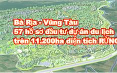 Bà Rịa - Vũng Tàu: 57 hồ sơ đầu tư dự án du lịch sinh thái, nghỉ dưỡng trên 11.200ha diện tích RỪNG