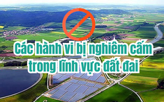 Luật Đất đai 2024: Các hành vi nào bị nghiêm cấm trong lĩnh vực đất đai?