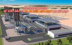 Phó Thủ tướng trao đổi với tập đoàn Wartsila trước đề xuất đầu tư nhà máy điện linh loạt 5.600 tỷ tại Ninh Bình