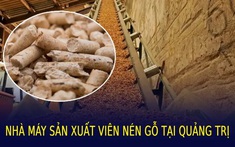 Quảng Trị sắp có nhà máy sản xuất viên nén gỗ năng lượng 500 tỷ đồng