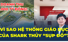 Từng đạt doanh thu chạm mốc 2.000 tỷ đồng, vì sao hệ thống giáo dục của Shark Thủy “sụp đổ”?