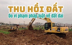 Nhà nước sẽ thu hồi đất do vi phạm pháp luật về đất đai trong những trường hợp này