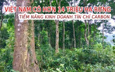 Tiềm năng kinh doanh tín chỉ carbon với hơn 14 triệu ha rừng