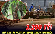 Nhà máy sản xuất ván tre 3.200 tỷ vừa được Thanh Hóa chấp thuận đầu tư nằm ở đâu?