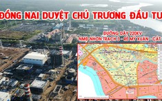 Đồng Nai phê duyệt chủ trương đầu tư dự án đường dây 220kV nhà máy điện Nhơn Trạch 3 - rẽ Mỹ Xuân - Cát Lái