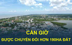 Huyện đảo duy nhất của TP.HCM, nơi có “siêu” dự án lấn biển, cảng trung chuyển quốc tế sẽ được chuyển đổi 190ha đất sang phi nông nghiệp