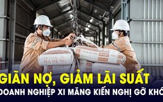 Doanh nghiệp xi măng kiến nghị bỏ thuế xuất khẩu clinker, muốn được vay vốn lãi suất ưu đãi