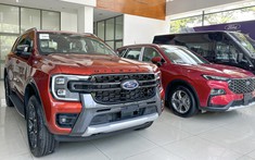 Ford Việt Nam tăng khuyến mại cho loạt xe Ranger, Everest, Territory, Transit