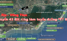 Bà Rịa - Vũng Tàu chuyển 43 đất rừng làm tuyến đường “TỶ ĐÔ”