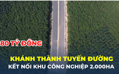 Bình Dương khánh thành tuyến đường gần 500 tỷ đồng, kết nối đến khu công nghiệp 2.000ha