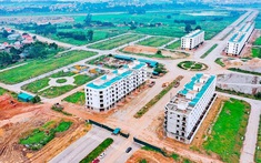 Mở bán dự án Lam Sơn Nexus City tại Bắc Giang