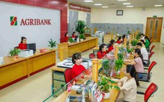 Agribank lên kế hoạch lãi trước thuế hơn 1 tỷ USD