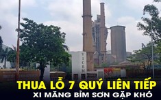 Một công ty xi măng thua lỗ 7 quý liên tiếp, thừa nhận khó khăn chưa từng có