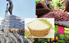 Xuất khẩu nông sản tăng mạnh