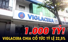 Cổ đồng của Viglacera sắp nhận thêm tin vui