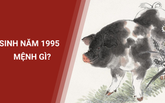 Sinh Năm 1995 Mệnh Gì? 4 Hướng Nhà "Ăn Nên Làm Ra" Cho Tuổi 1995