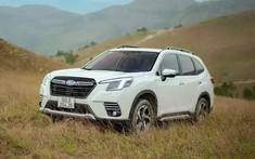 Subaru Forester được khuyến mãi mạnh nhất phân khúc SUV cỡ C, lên đến 140 triệu đồng