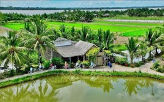 Cồn Chim - Điểm sáng du lịch cộng đồng Việt Nam nhận giải thưởng ASEAN 2025