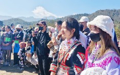 Hàng nghìn du khách đổ về cao nguyên Y Tý du xuân ngắm cảnh