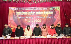 Thị xã Sa Pa: Hội Báo Xuân Ất Tỵ 2025 Trưng Bày Gần 500 Ấn Phẩm Báo Chí