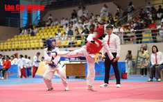 Giải Taekwondo các lứa tuổi trẻ tỉnh Lào Cai 2025: Sân chơi võ thuật hấp dẫn