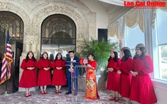 Vietjet lập kỷ lục doanh thu 2024, mở rộng mạng bay quốc tế