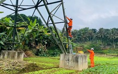 PC Lào Cai đảm bảo nguồn điện ổn định, mang xuân bình an đến mọi nhà