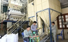 Lào Cai hỗ trợ phát triển công nghiệp nông thôn năm 2025