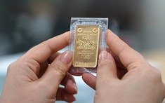 Cập nhật giá vàng hôm nay (20/3): Chạm mốc 100 triệu đồng/lượng
