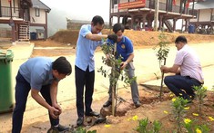 Bảo Yên: Trồng 1.200 cây hoa sim tại thôn Làng Nủ, xã Phúc Khánh