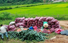 Diện mạo mới của vùng cao Điện Biên nhờ Chương trình MTQG 1719