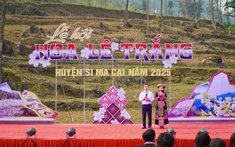 "Si Ma Cai rực rỡ mùa hoa lê trắng: Lễ hội độc đáo thu hút du khách năm 2025"