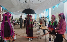 Tục rước dâu độc đáo của người Dao Thanh Y ở Bình Liêu: Nét văn hóa truyền thống đậm bản sắc
