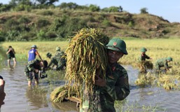 Giúp dân khắc phục hậu quả bão lũ: Tinh thần và khát vọng cống hiến của thanh niên quân đội