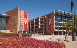 Đại học Western Sydney: Những chỉ số nổi bật trên các bảng xếp hạng 2026